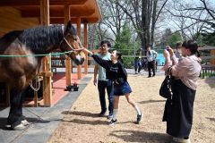 <strong>＜大きくてもかわいい！＞</strong><br>
おびひろ動物園の「馬ふれあい舎」で迫力のあるばん馬とふれあう来場者（２７日午後０時２０分、金野和彦撮影）