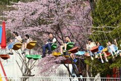 おびひろ動物園の「スーパーチェア」で心地よい風を感じる親子ら（２７日午前１０児３５分、金野和彦撮影）