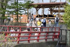 <strong>＜絶好の行楽日和＞</strong><br>
待ちわびた大型連休。おびひろ動物園は、家族連れらでにぎわいをみせた（２７日午前１０時、金野和彦撮影）