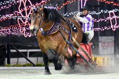 メムロボブサップ一人旅で圧勝初勝利　ばんえいオッズパーク杯