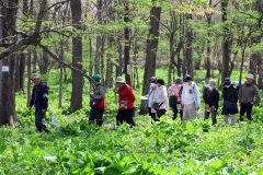 市野草園運営委員による解説を聞きながら草花を観察する来園者ら(29日午前10時20分ごろ、帯広市野草園。助川かおる通信員撮影)