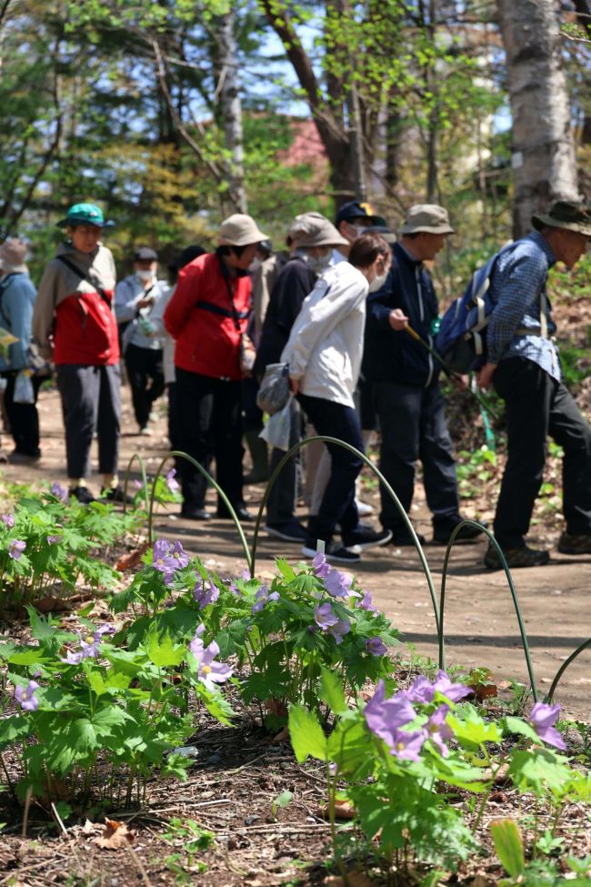 帯広市野草園がオープン
