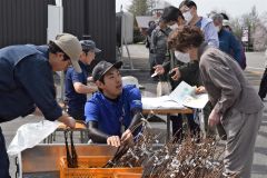 ブドウの苗木を買い求める来場者
