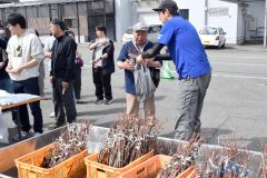 ブドウの苗木を買い求める来場者