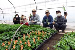 １８日に野菜と花苗の直売会　帯広ケア・センター