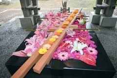 斜めに置いた木組みが特徴的な花手水。左右非対称の配色が美しい
