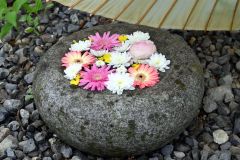 ご神木の前に飾られたキクやガーベラが浮かぶ「桂の木のつくばい」
