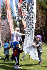 こいのぼりを喜ぶ園児