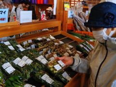 開店前から長蛇の列　とよころ物産直売所が今季オープン 2