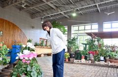 みどりと花のセンター内の植物広場には約１２０種の植物が置かれ、育てたい植物を見つけることができる
