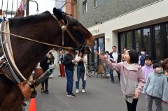 馬車を引いたムサシコマにニンジンを与える子ども（５日、須貝拓也撮影）