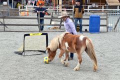 サッカーをするポピーと上江洲かなさん（５日１２時５５分ごろ、帯広競馬場）