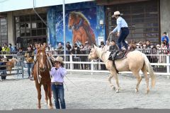 立ち乗りに歓声　競馬場ふれあい動物園でホースショー～こぼれ話
