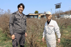 チアーズが高齢化した「元樹の会」からハスカップの栽培業務引き継ぐ　士幌