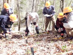 職員たちに観察の要点を説明する持田学芸員（左から３人目）