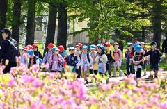 ツツジやタンポポの花を見ながら、緑ケ丘公園内を歩く一年生（１０日、午前９時半ごろ。金野和彦撮影）