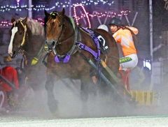 金山調教師の１０００勝目を挙げたサクラヤマト（１２日、ばんえい十勝提供）
