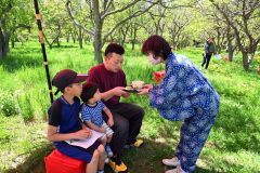 スモモの木陰に用意された席で茶道サークルによる「野だて」を楽しむ来場者（１８日午前１０時４０分ごろ）