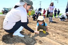 大豆の種まきに汗　「ＴＯＹＯＫＯＲＯ　Ｚ」が初イベント