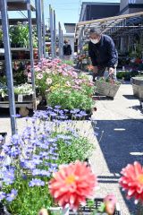 花や野菜の苗を求める愛好者でにぎわう売り場（池田花園本店）