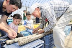 町内外の親子連れら約１５人が参加した体験会（助川かおる通信員撮影）