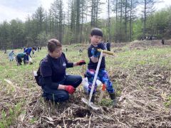 カラマツの苗を植える参加者