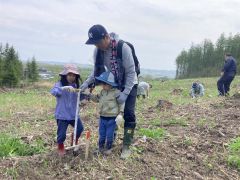 カラマツの苗を植える参加者