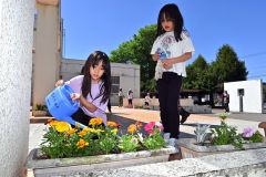 校舎玄関前の花壇に水やりをする児童（白人小で。金野和彦撮影）