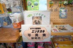 売店内にあるエゾタヌキの写真集