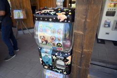 カンガルーポケットに設置してあるガチャ
