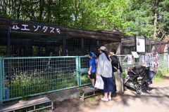 園内のエゾタヌキ展示ゾーンでエゾタヌキを探す来園者
