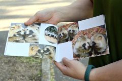 中山さんのおすすめのページ。コミュニケーションを取る２頭の様子をじっくり見ることができる