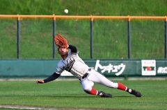 【１回戦・帯大谷－北海】帯大谷は９回１死、浅い飛球を左翼の柴田温人がスライディングキャッチする