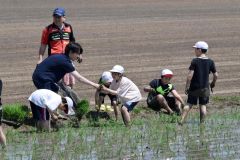 丁寧に苗を植える児童