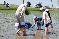 丁寧に苗を植える児童