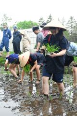 早乙女姿で田植えをする児童（２４日午前９時半ごろ、幕別途別小で）