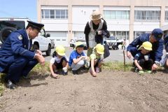 池田署前の花壇にヒマワリの種を植える園児と署員