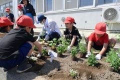 花苗を植える児童