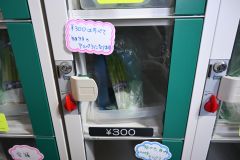 「アスパラガスの細物２５０グラム」（３００円、税込み）で購入することができる