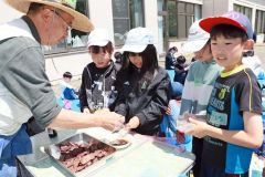 エゾシカのいろいろ学ぶ　大樹・すてっぷ 2