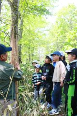 エゾシカのいろいろ学ぶ　大樹・すてっぷ