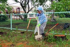 雨の中、地面を掘って植樹する児童