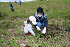 カラマツの苗木を植える参加者ら
