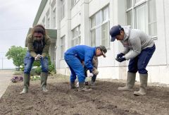 勇足中の花壇でほんべつ豆まかナイト使用の大豆の豆まき　草取りは中学生が担当 2