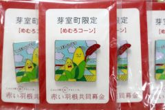 赤い羽根ピンバッチ11個セット 2025年最新】赤い羽根 ピンバッジの人気アイテム - メルカリ