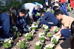 協力して花苗を植える生徒と地域住民