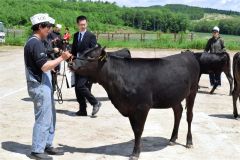 ２４頭が出陳した品評会