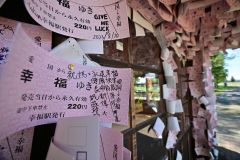 本記　幸福駅　次の１０年に向け壁いっぱいの切符撤去 写真10