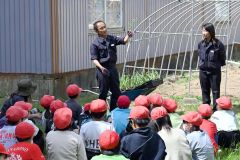 ニンニクの植え方を説明する十勝清水農協の石井監査役（５月２８日午後１時４０分ごろ、花園小学校）
