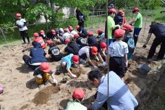 ニンニクの苗を植える児童ら（５月２８日午後１時５０分ごろ、花園小学校）